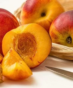 Roots Plants Avalon Pride Peach Tree 11 Roots Plants Avalon Pride Peach Tree