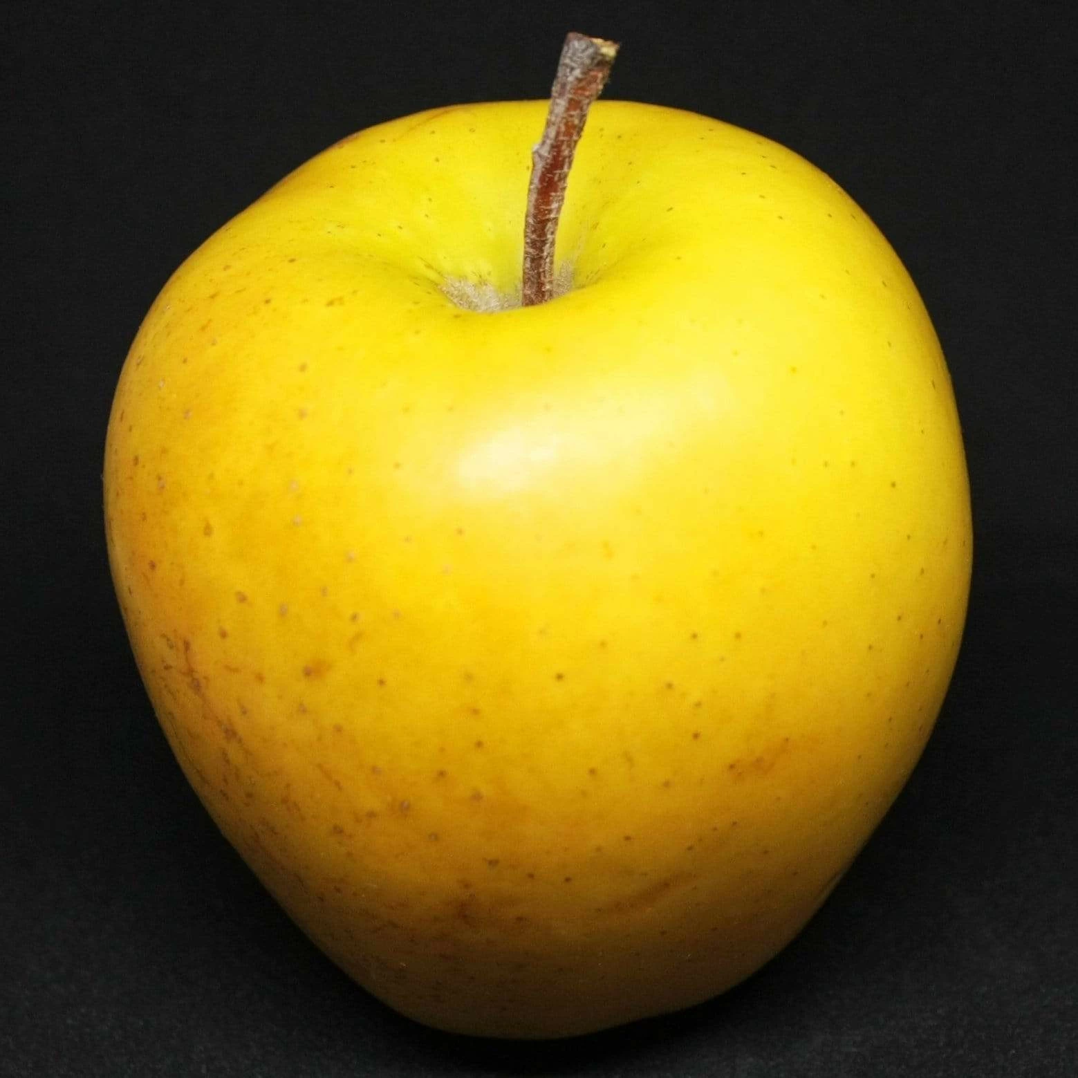 Roots Plants Golden Delicious Apple Tree Fruits 3 Roots Plants Golden Delicious Apple Tree Fruits