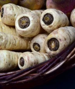 Roots Plants 10 Organic 'Countess' Parsnip Plants All Vegetable Plants