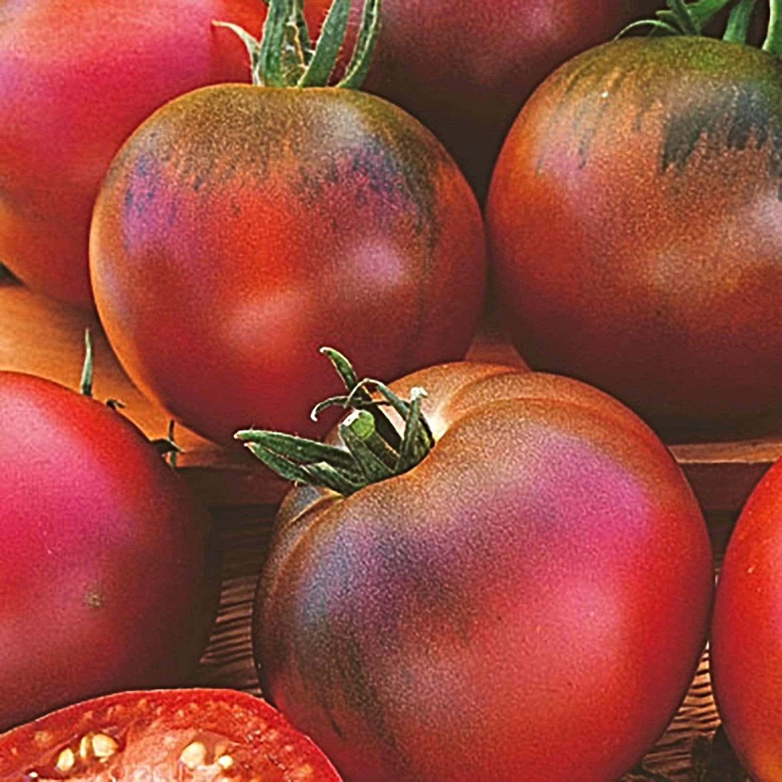 Roots Plants 5 Organic 'Black Russian' Tomato Plants Salad Plants 3 Roots Plants 5 Organic 'Black Russian' Tomato Plants Salad Plants