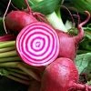 Roots Plants 10 Autumn 'Chioggia' Beetroot