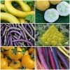 Roots Plants All Vegetable Plants 41 Organic Unusual Vegetable Plants